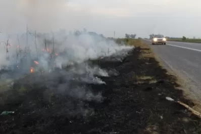 “El fenómeno de incendios es fundamentalmente climático, y no se soluciona con judicializar”