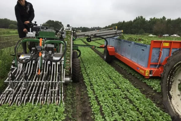 La Expo Hortícola del NOA 2023 abre sus puertas en Lules