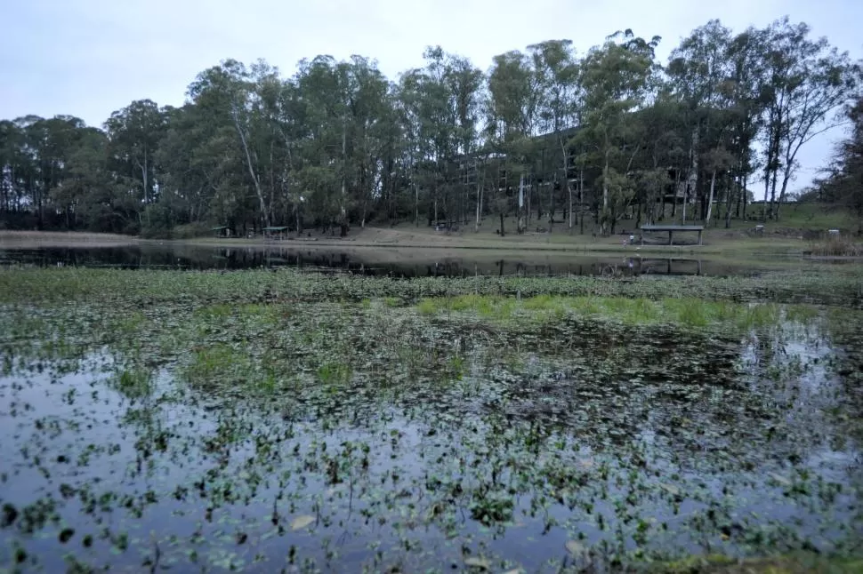 Las capas de la cebolla en la UNT
