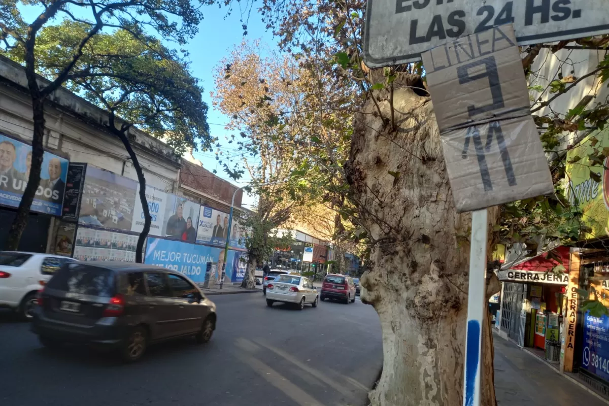 UTA concretó hoy el paro por 24 horas. LA GACETA / ANALÍA JARAMILLO