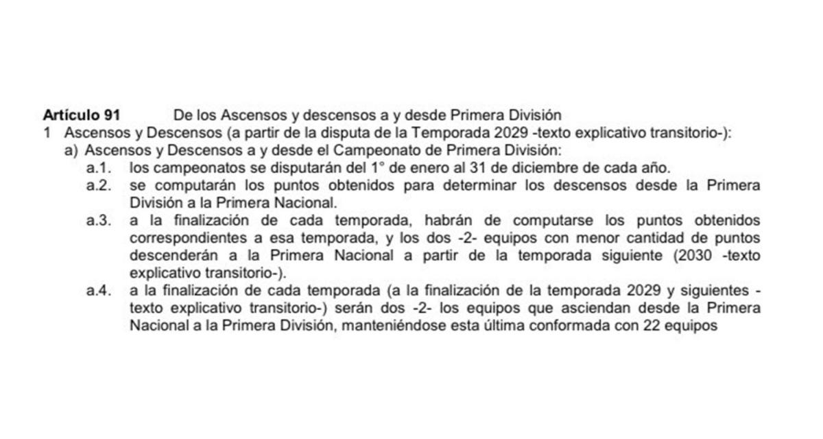 ¿QUÉ DICE EL ESTATUTO? Al comienzo de la temporada la AFA estableció el sistema de descensos desde la Liga Profesional.