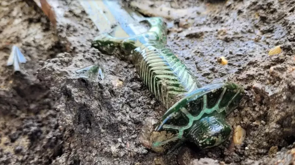 LA ESPADA HALLADA por el grupo de arqueólogos. 