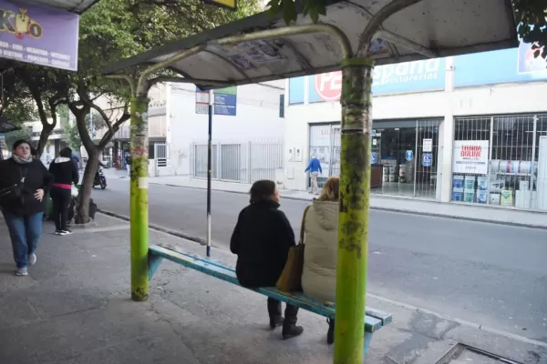 Crisis del transporte: cómo funcionarán los colectivos y cuáles líneas se verán afectadas por el paro