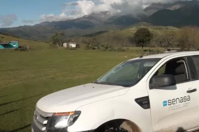 Confirman un paro de tres días en el Senasa y se paralizan las exportaciones desde el lunes