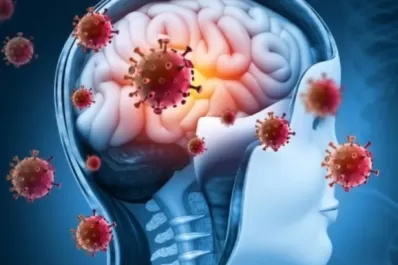 Ministerio de Salud: alerta por el rebrote de una peligrosa enfermedad que afecta el sistema nervioso