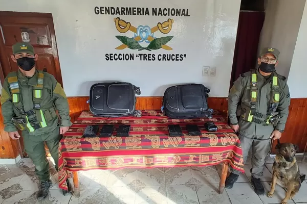 Una perra antinarcóticos halló dos valijas con más de seis kilos de cocaína