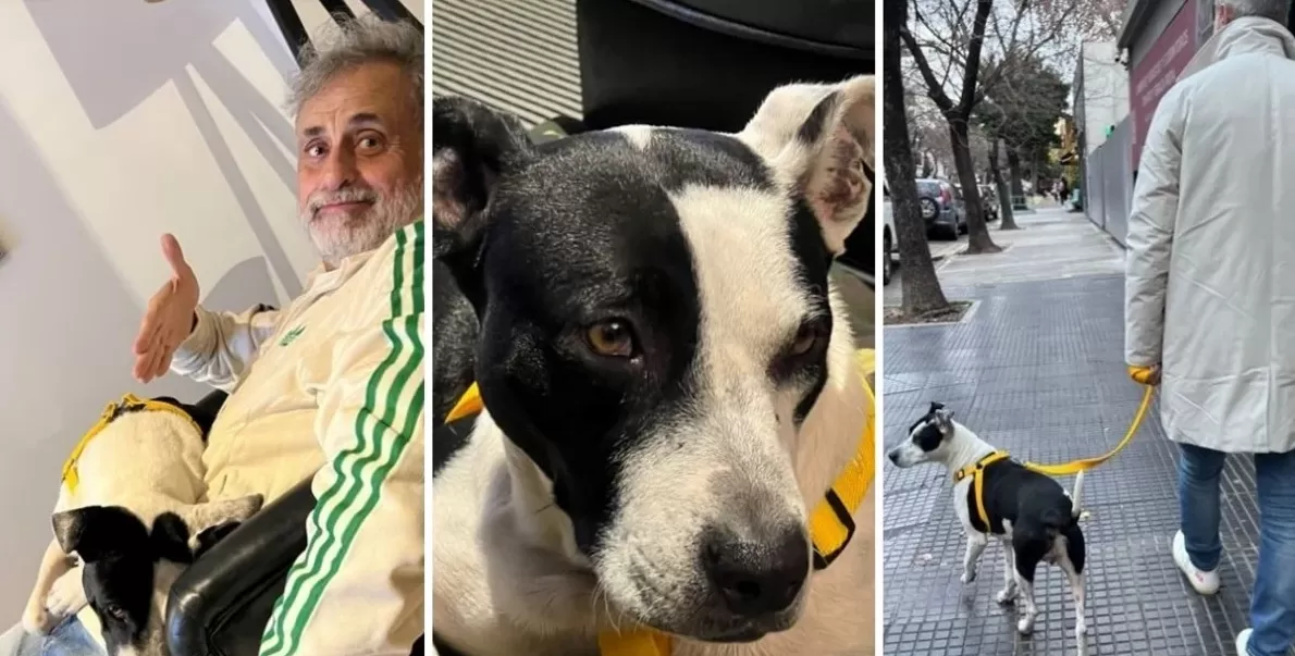 Jorge Rial presentó a su perrita