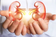 Cómo prevenir el cáncer de riñón, el quinto tumor más frecuente en nuestro país