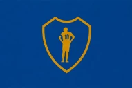 Despedida de Riquelme: la recaudación llegaría a $ 1.500 millones