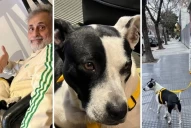 Jorge Rial adoptó una perra y le puso un insólito nombre: ¿una indirecta para Morena?