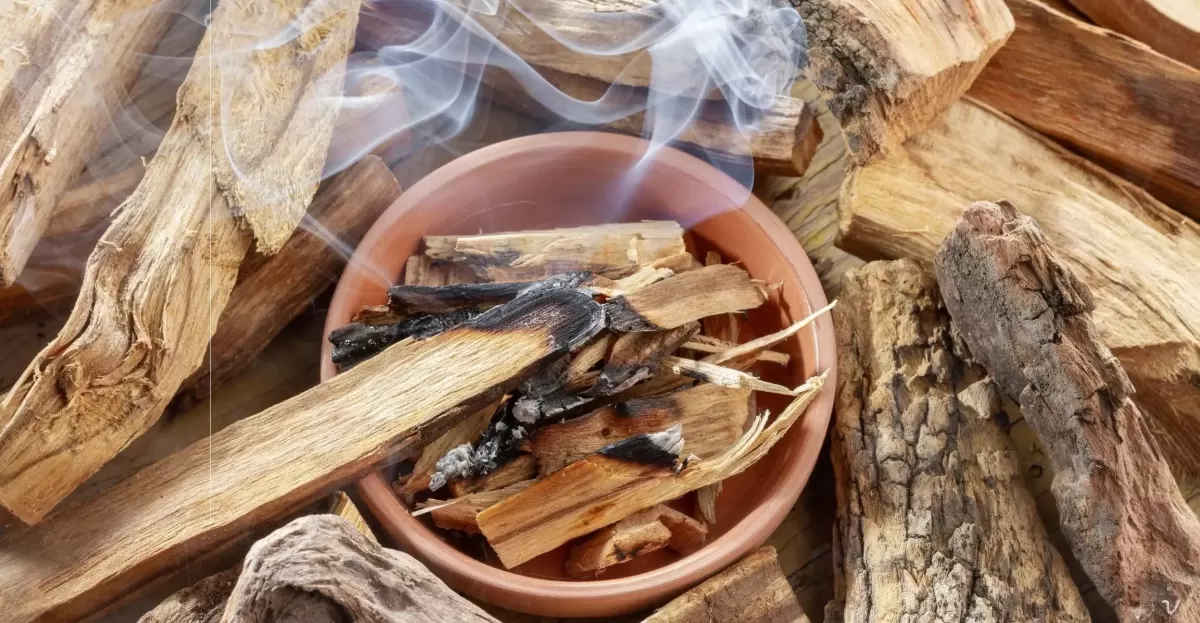 Palo Santo: ¿para qué sirve quemarlo y cómo se debe hacer el ritual para atraer abundancia?