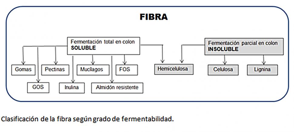 BENEFICIOS. La cáscara de limón es una excelente fuente de fibra dietética. 