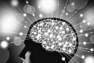 ¿Por qué la violencia contra la mujer y contra lo diferente?