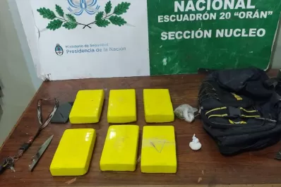 Intentaron ingresar al país 20 kilos de cocaína a través del monte y de un taxi