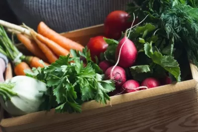 La brecha de precios entre campo y góndola se mantuvo en 3,5 veces