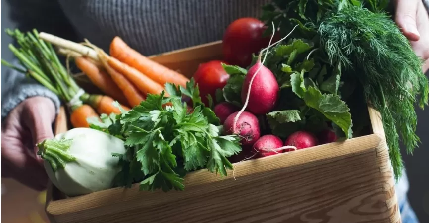 Frutas y verduras.