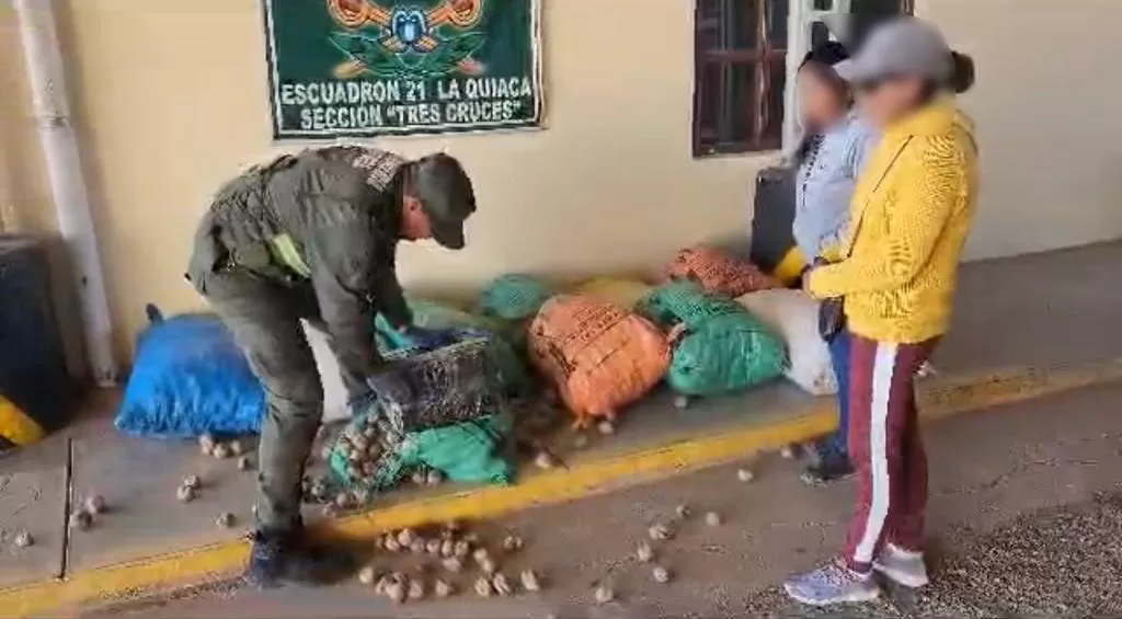 Bolsas de Papa, llenas de hojas de coca. 