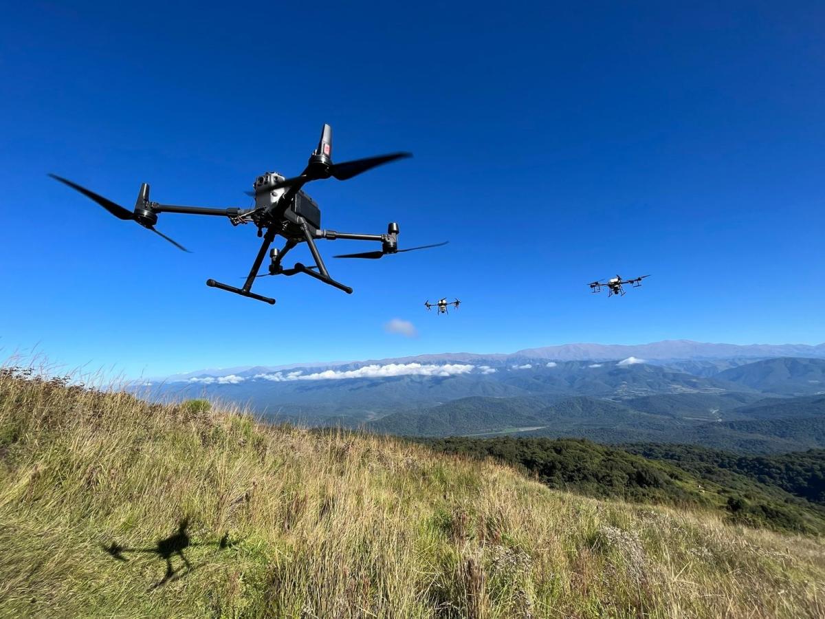 PROCESO. Primero se recolectan las semillas nativas, luego se las trabaja en laboratorio y en un tercer paso se las dispersará usando los drones.