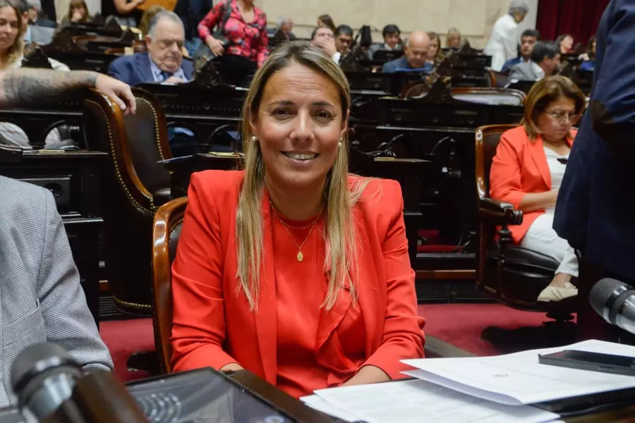 EN LA CÁMARA DE DIPUTADOS. Ana Aubone presentó el proyecto de paridad de género laboral en empresas de transportes. Foto tomada de Twitter / @FabiolaAubone.