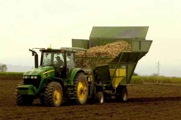 Algunos aspectos fundamentales para disminuir pérdidas