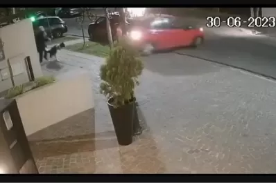 Buenos Aires: el increíble momento en el que un perro salvó a su dueña de ser atropellada