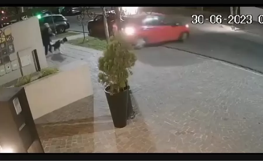 El increíble momento en que un perro salvó a su dueña de ser atropellada.