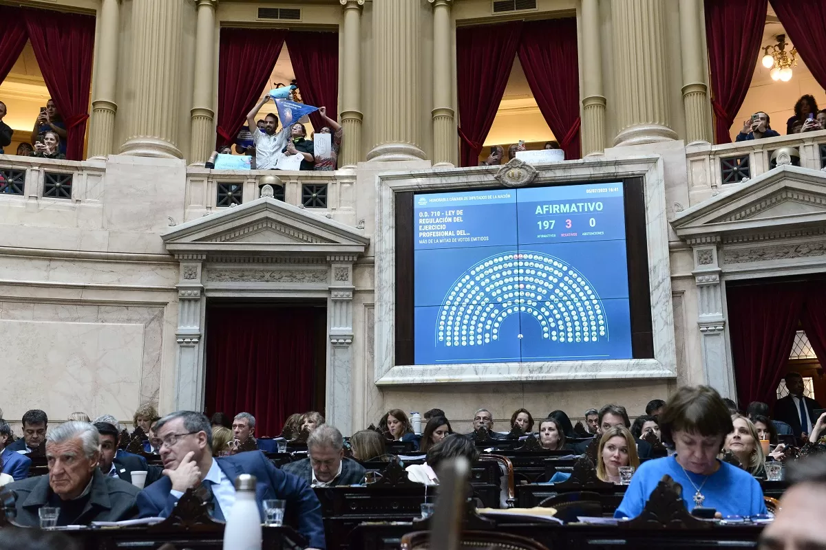 Diputados: el único bloque que se opuso a la regulación de acompañantes terapéuticos fue el de Milei