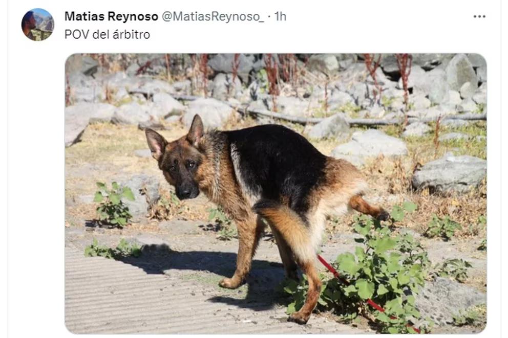 Video: un futbolista del ascenso fue expulsado por hacer pis en el campo de juego y generó una oleada de memes