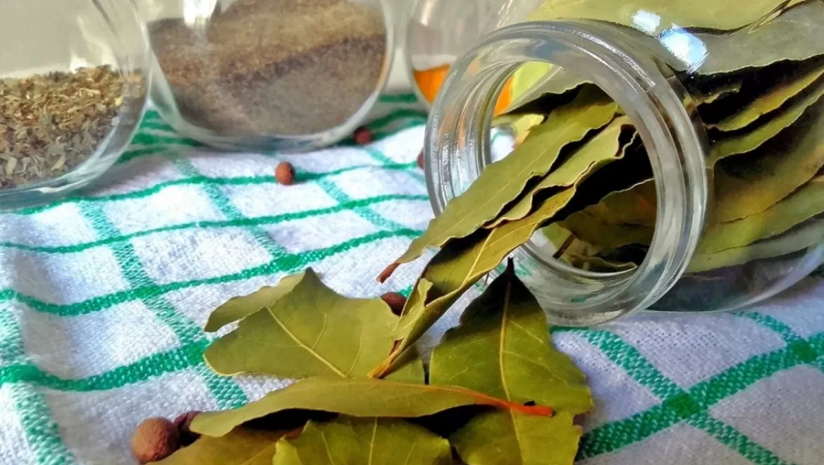 Cómo es el ritual de azúcar y laurel para atraer abundancia en julio