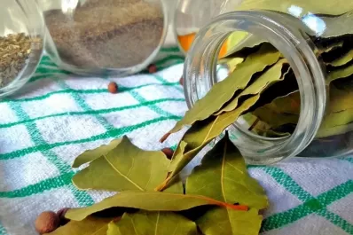 Cómo es el ritual de azúcar y hojas de laurel para atraer abundancia en julio