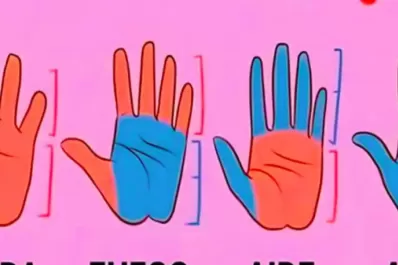 ¿Tierra, fuego, aire o agua? Con este test podes descubrir el elemento que predomina en tu mano