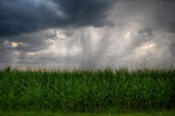 Tras un junio seco, las lluvias tenderían a normalizarse