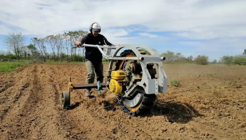 RASGOS. Chango, estructuralmente resistente y estéticamente atractivo.  