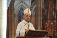 Qué función cumple un cardenal