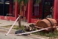 Córdoba: una joven de 15 años murió al ser atacada por dos perros dogo