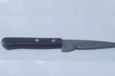 Detuvieron a un hombre que amenazó con un cuchillo a su madre