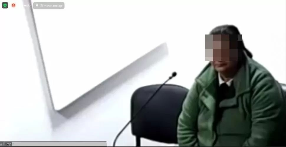 “SOY CULPABLE”. Sonia reveló detalles del duro contexto por el que tomó la decisión de encadenar a su hijo.   