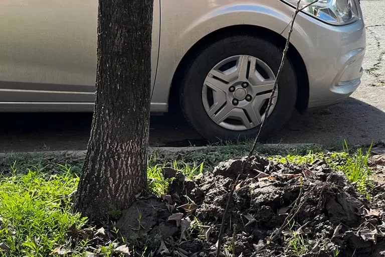 LA GACETA en WhatsApp: cuatro pérdidas de agua en la ciudad