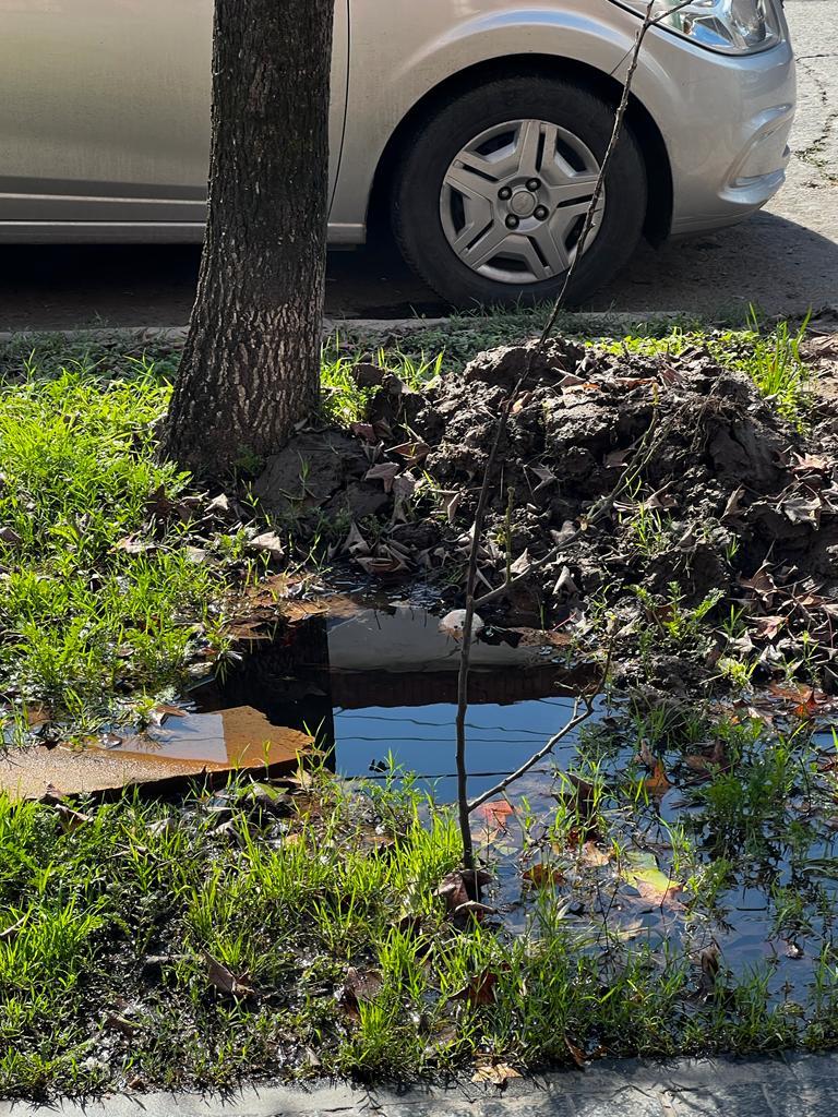 LA GACETA en WhatsApp: cuatro pérdidas de agua en la ciudad