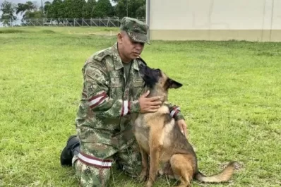 Abandonaron la búsqueda de Wilson, el perro que rescató a los niños perdidos en la selva amazónica