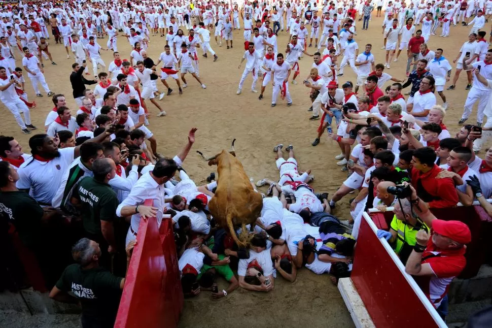 PAMPLONA. Un toro desbocado pisotea a varios corredores en el segundo día de “encierro” de San Fermín, el festival en el norte de España, famoso por sus desbordes.