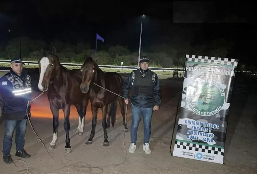 LOS ANIMALES secuestrados en la ruta. 