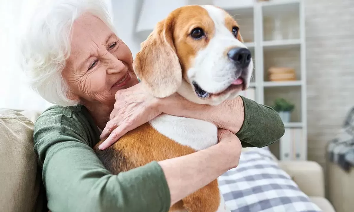 ¿Cuál es la mascota ideal para cada etapa de la vida según la Inteligencia Artificial?