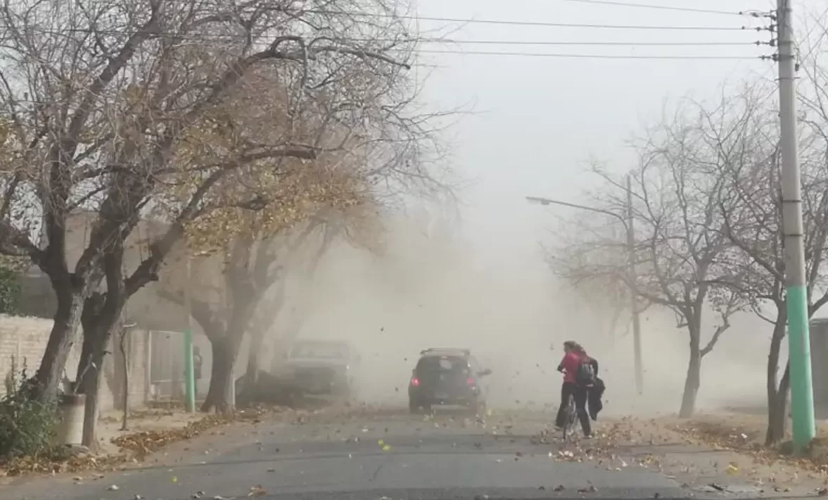 Alerta meteorológica: en qué provincias emitieron una fuerte advertencia por severos vientos