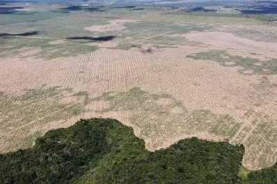 La NASA ayuda a Brasil para proteger la selva