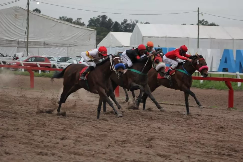 GRAN FINAL. Domingas fue bien conducida por Matías Rodríguez. 