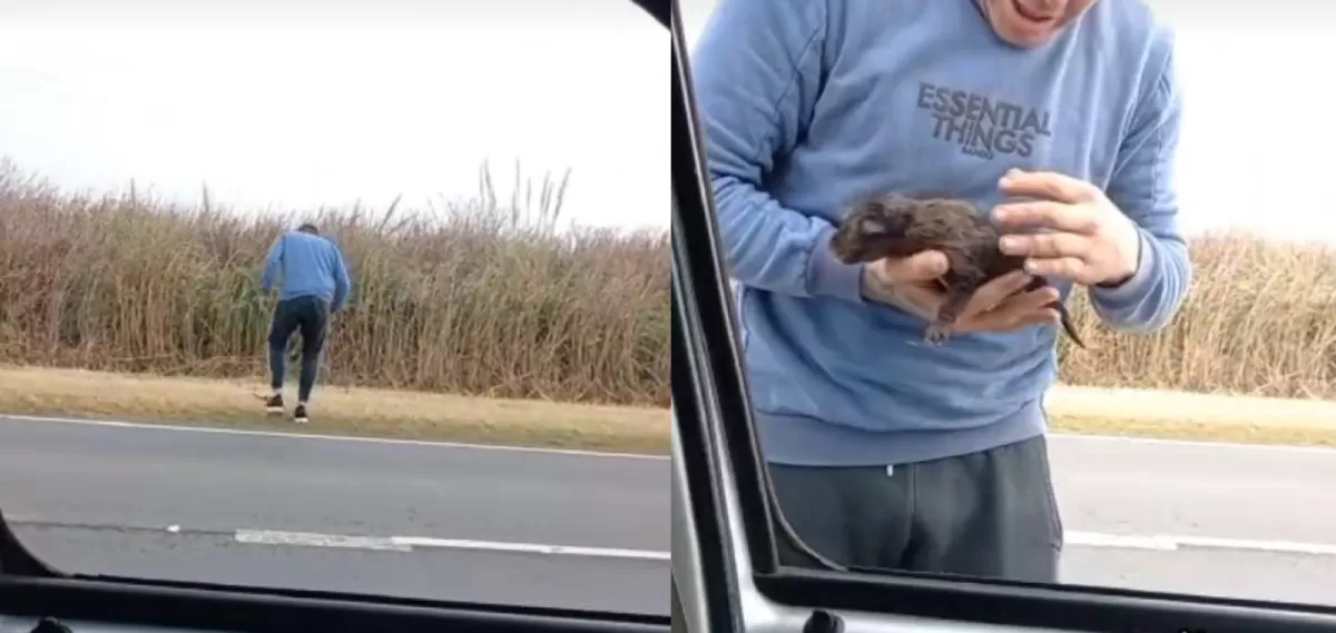 Mauro Benjamín Oviedo le dio una historia feliz a un cachorro abandonado.