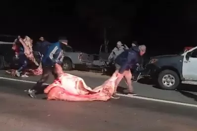 Un camión que transportaba 20.000 kilos de carne volcó y fue saqueado por los vecinos