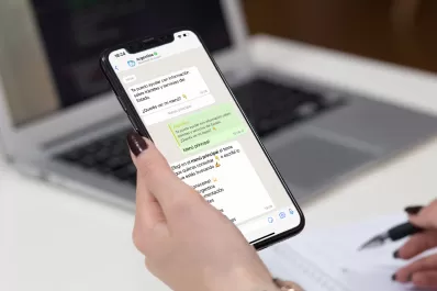 Cómo es el chatbot en WhatsApp que lanzó el Gobierno sobre las próximas elecciones