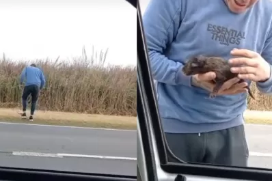 Video: Un bulto extraño en la ruta, un gesto de amor y un mensaje de concientización